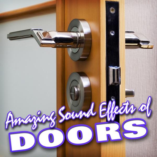 Electric Garage Door Open and Close