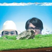 夏の光