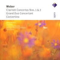 Clarinet Concerto No. 1 in F Minor, Op. 73, J. 114: III. Rondo: Allegretto