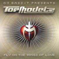 Fly On The Wings Of Love (Rocco Remix)