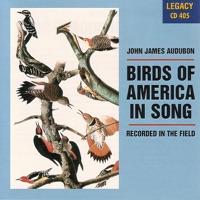 American Game Birds