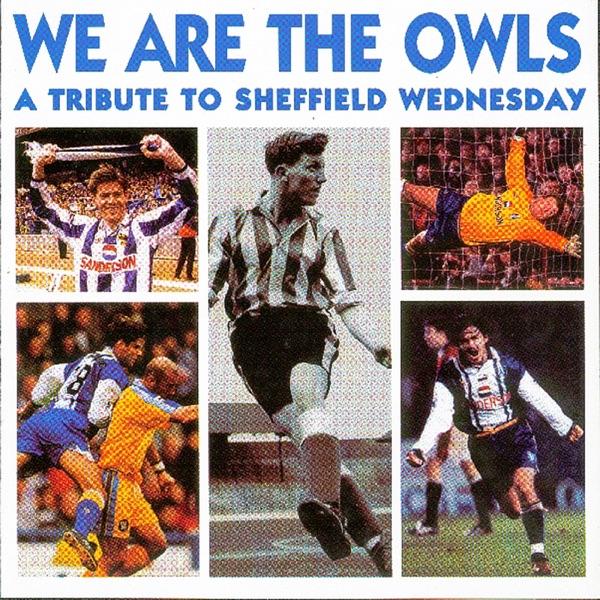 The Owls Are On Their Way