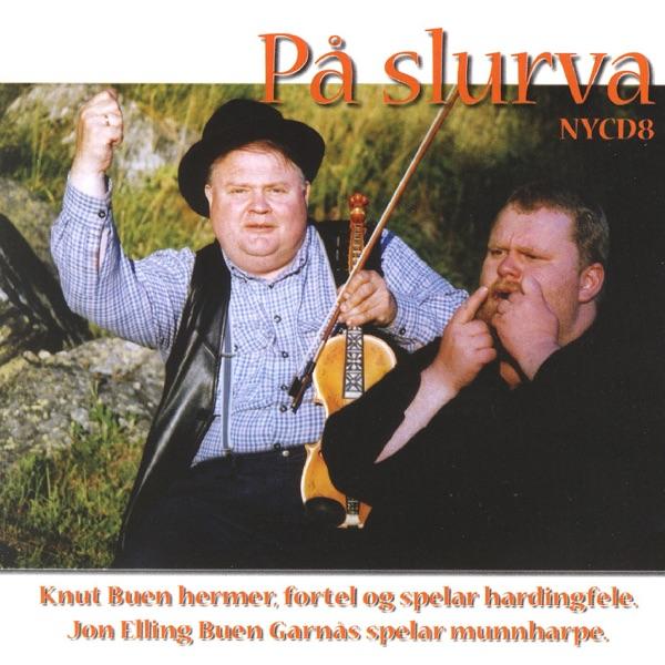 Vaktmeistaren I Nordahl Bruunsgt.