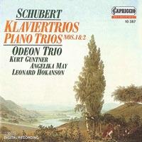 Piano Trio No. 1 in B flat major, Op. 99, D. 898 : II. Andante un poco mosso
