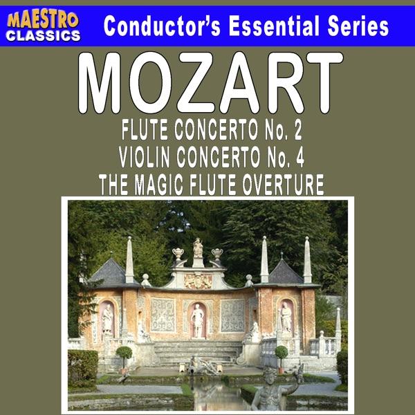 Violin Concerto No. 4 in D Major, K. 218: I. Allegro (feat. Conrad Vonder Goltz)