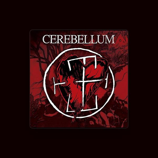 Cerebellum