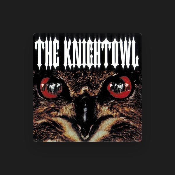 Mr.Knigtowl