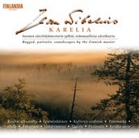 Violin Concerto in D minor Op. 47: I. Allegro moderato