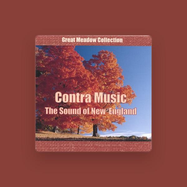 Eleven New England Contra Bands