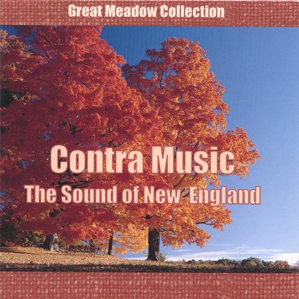 Kilcommon Medley - Rodney Miller & Airdance