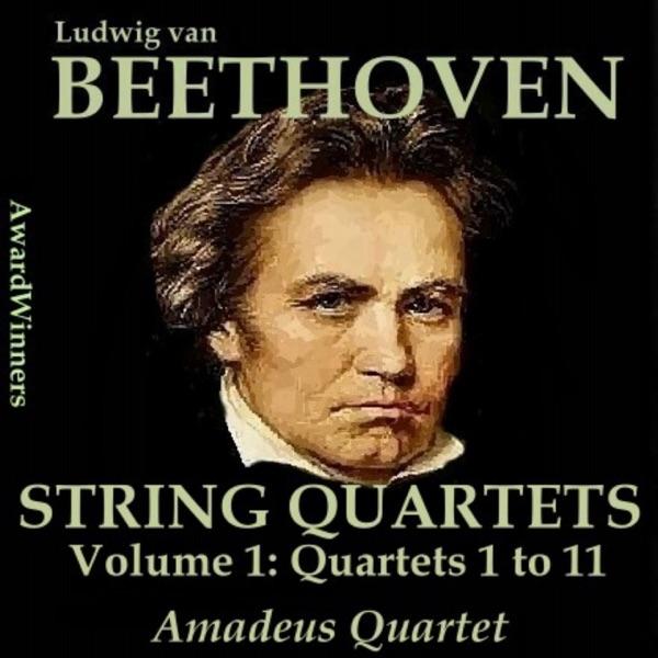 String Quartet No. 7 in F major - Rassumovsky, Op. 59-01 : II. Allegretto vivace e sempre scherzando