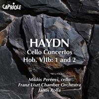 Cello Concerto No. 1 in C major, Hob.VIIb:1 : II. Adagio