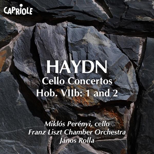 Cello Concerto No. 1 in C major, Hob.VIIb:1 : II. Adagio