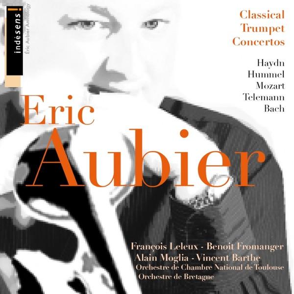 Concerto for Trumpet and Orchestra in E Major: Andante