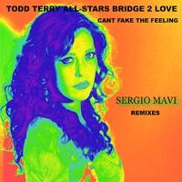 Can't Fake the Feeling (Sergio Mavi Beat Dub)