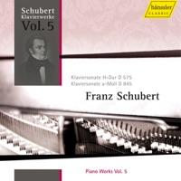 Piano Sonata No. 16 in A minor, Op. 42, D. 845: I. Moderato