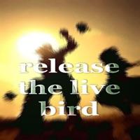 Release The Live Bird (Electro House Mix)