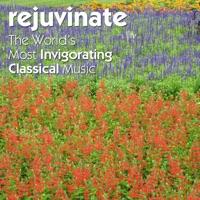 Serenade for Strings in C Major, Op. 48: IV. Finale - Andante, Allegro