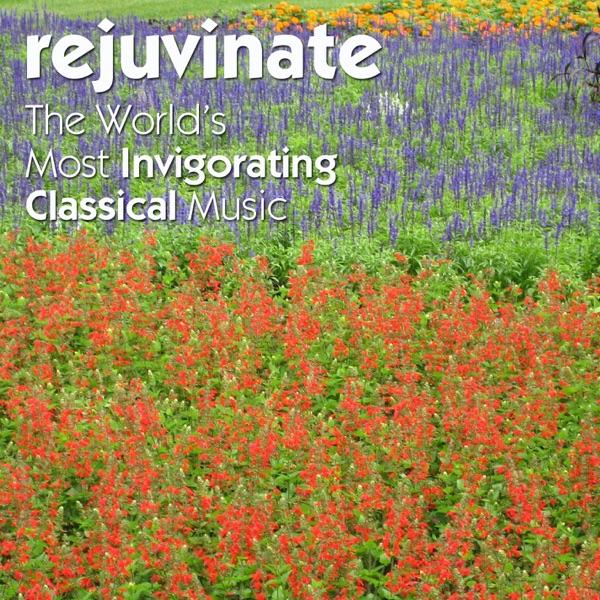 Serenade for Strings in C Major, Op. 48: IV. Finale - Andante, Allegro