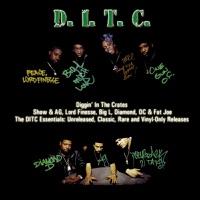 Day One (feat. Diamond D, Big L, A.G. & Lord Finesse)