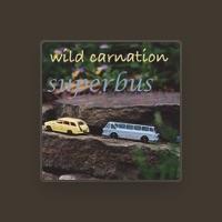 Wild Carnation