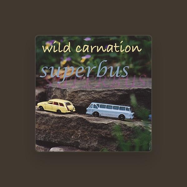 Wild Carnation
