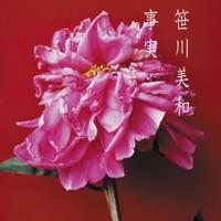 金木犀