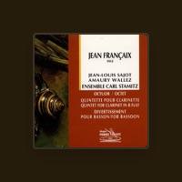 Ensemble Carl Stamitz