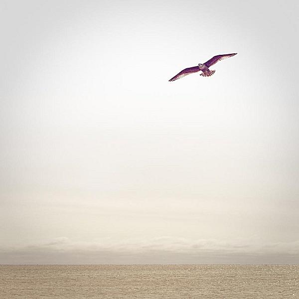 Complex Silence 15