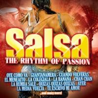 Hey Soul Sister (Salsa Version)