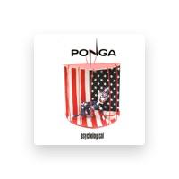 Ponga