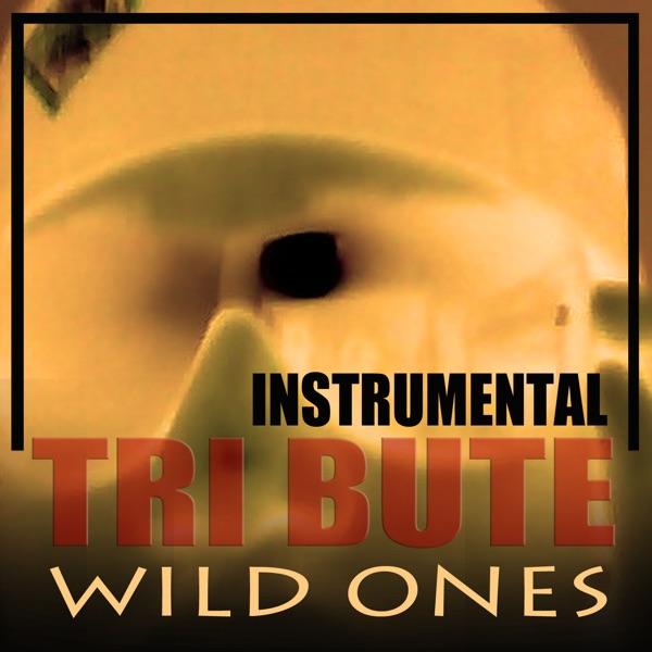Wild Ones (Instrumental Tribute)