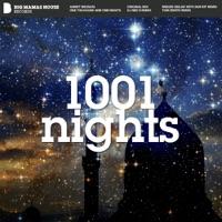 One Thousand and One Nights (Mekzid Deejay With Nok'Kit Remix)