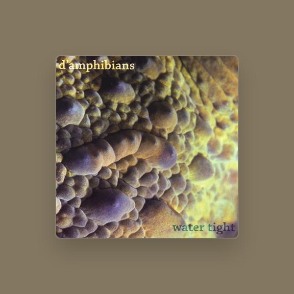 D'Amphibians