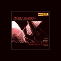 New Moscow Chamber Orchestra