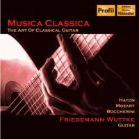 Haydn - Guitar Concerto In D Major (arr. of String Quartet No. 8 In e Major, Op. 2, No. 2, Hob.III:8): II. Adagio