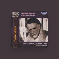 Béla Bartók Male Choir - Pécs