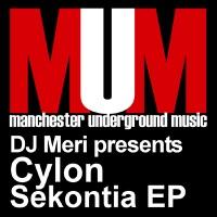 Pelican Island (Mark Holmes & OD Muzique Remix)