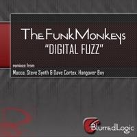 Digital Fuzz