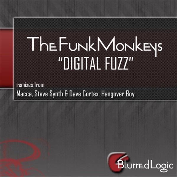 Digital Fuzz