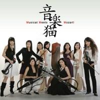 Musicat Meets Mozart!