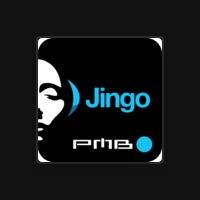 Jingo