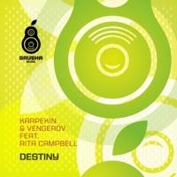 Destiny (Stefano Pain vs Marcel Booty Mix)