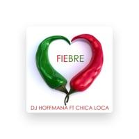 DJ Hoffmana