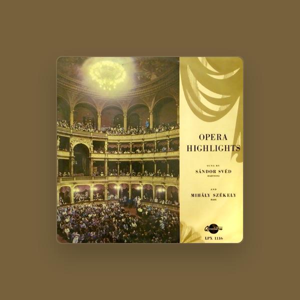 Orchestra of the Hungarian State Opera House
