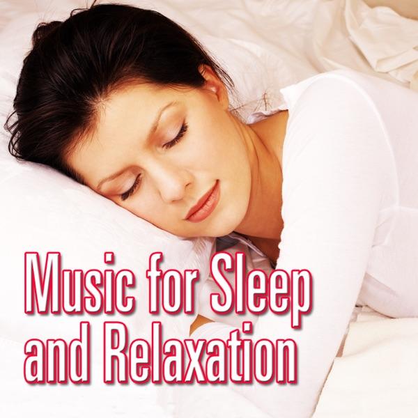No Worries At All - With Gentle Woodland Bird Songs for Quiet Contemplation and Well Being
