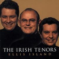 The Irish Medley: Trasna Na Dtonnta (over The Waves); Oro Se Do Bheatha 'bhaile (long Life To You On Your Homecoming); An Poc Ar Bile (the Mad Goat)
