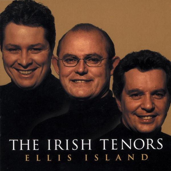 The Irish Medley: Trasna Na Dtonnta (over The Waves); Oro Se Do Bheatha 'bhaile (long Life To You On Your Homecoming); An Poc Ar Bile (the Mad Goat)