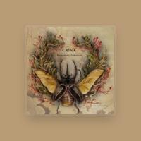 caina