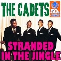 Stranded In The Jingle (Digitally Remastered)